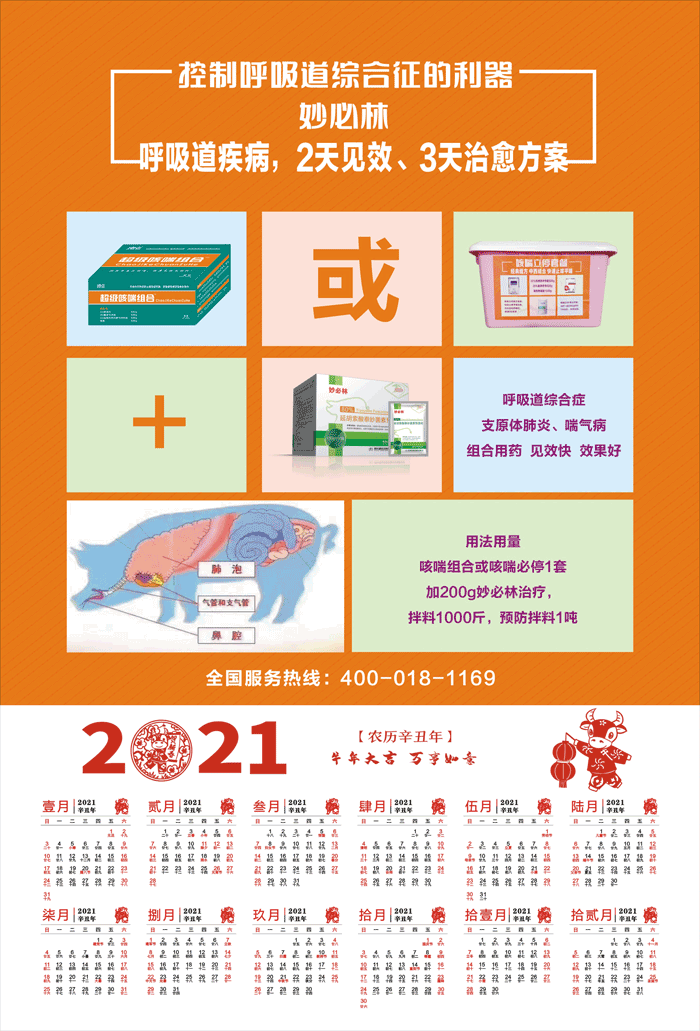 呼吸道疾病.gif