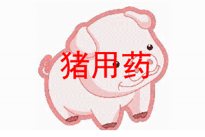 豬.gif